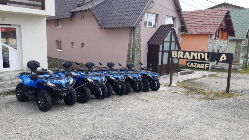 Pensiunea Brandusa Rânca Extérieur photo